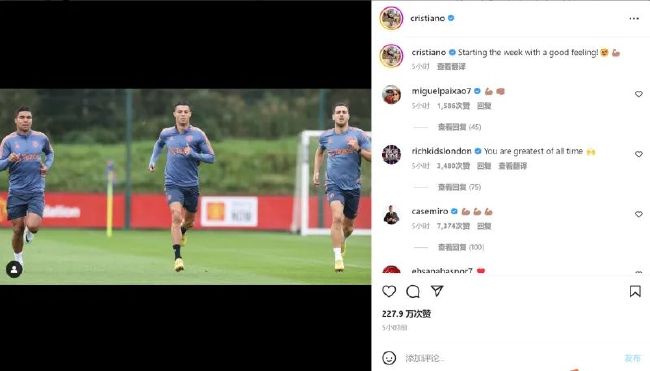 我的团长我的团全集免费观看
