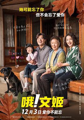 国产精品免费视频播放器