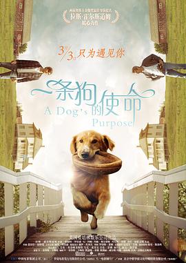 强制榨精龟责榨精男潮视频