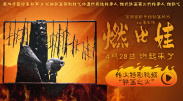 骚网