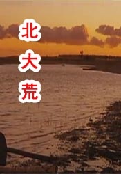 日本外国女优