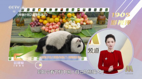 国产精品久久久久久一区二区